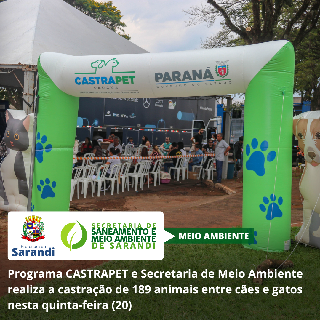 Programa CASTRAPET e Secretaria de Meio Ambiente realiza a castração de 189 animais entre cães e gatos nesta quinta-feira (20)